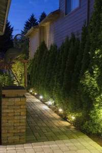 Silver Spring Landscape and Pathway Security Lighting